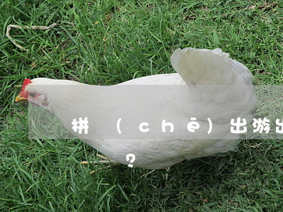 拼車(chē)出游，出了事故怎么算？
